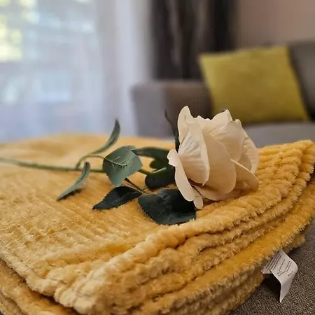 Apartment Serenity In The Heart Of With Free Parking